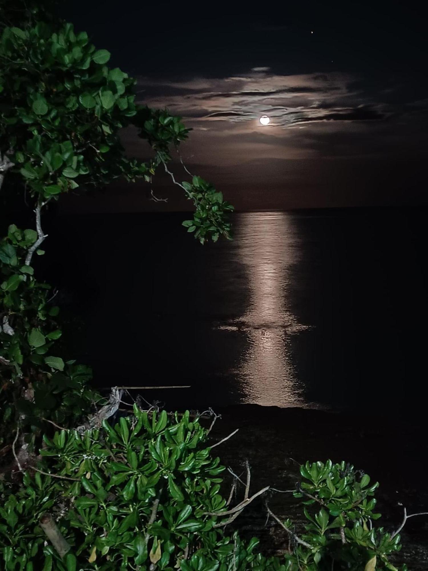 Blue Raven Resort أندا المظهر الخارجي الصورة