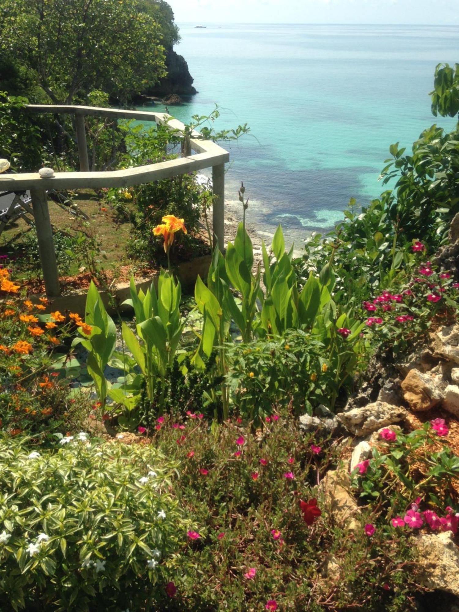 Blue Raven Resort أندا المظهر الخارجي الصورة